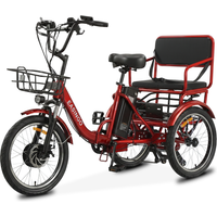 AliExpress NONE 2‑Seater Electric Cargo Tricycle 700W Motor 48V 20AH Battery Pedal Assist Adult Electric Trike 2 Person Long Range E‑Bike for Daily Commute Shopping Outdoor Travel