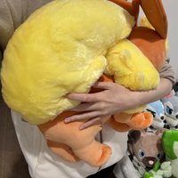 Pokemon Evoli Sleep Flareon Plush Toy - Soft Stuffed Animal Eevee Evolution Umbreon Jolteon Espeon Leafeon Vaporeon Doll Gift