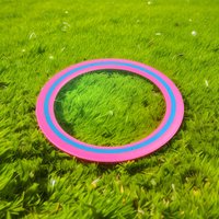 25cm Flying Disc Versatile Throwing Catching Disc Outdoor Flying Disc Playing Flying Saucer for Kids Adults