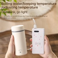 Type-C heating thermostatic cup USB car heating cup 55℃ 304 stainless steel electric cup