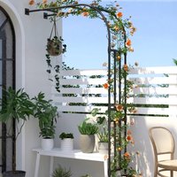Half Arch Rack for Climbing Plants Outdoor Garden Support for Clematis or Roses Durable Grape Vine Holder Vegetable Grow System