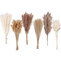 120PCS for Modern Decor Dried Rabbit Tail Grass Elegant Home Decoration Long-lasting Floral Beauty Mixed Color Pampas