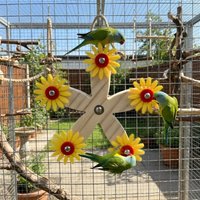 Bite-Resistant Wooden Parrots Ferris Wheel Wear Resistant With Bearings Bird Swing Toy Chew-able Interactive Parrot Toys