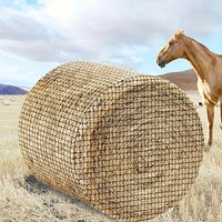 Filet à foin rond 5'x5', 1 pièce, conçu pour les chevaux, doté d'une conception sans nœuds pour une alimentation lente, convient pour le bétail
