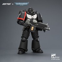 【Accessories】JOYTOY Warhammer 1/18 Action Figure Raven Guard Intercessor with Bolt Rifle, Bolt Pistol and Chainsword Model Toy