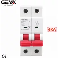 GEYA GYM10 Double Pole Din Rail MCB 6KA Miniature Circuit Breakers 40A 63A AC Type with CE CB