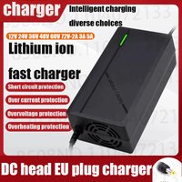 12V 24V 36V 48V 60V 72V Charger Lithium Li-ion Battery Pack 12.6V 29.4V 42V 54.6V 67.2V 84V Smart Fast Charging Plug Charger