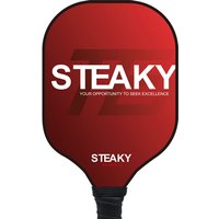 Stunning Fiberglass Series,Professional-Grade Pickleball Paddle with Durable Textured Surface for Indoor Training
