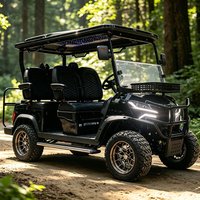 Voiture de golf électrique de luxe 4x4 tout-terrain 2/4/6 places 48V/60V/72V 4000W/5000W/7500W – Véhicule de chasse de conception nouvelle