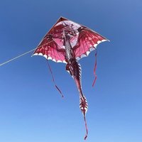 New Air Snake Blue Dragon Kite with 100 Meter Kite Line Good Flying Flying Dinosaur Kite Easy to Fly Outdoor Flying Fun Sports