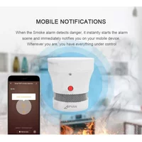 Mini Cigarette Smoke Detector High Sensitivity Safety Prevention Sensor Fire Alarm Micro Smart Smoke Detector for Home Oiffen