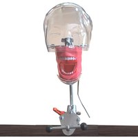 Dental Simulator Simple Manikin Phantom 360-degree Adjustment With New Style Bench Mount Dental Head Model Dentist Teaching Tool