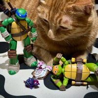 New Neca Ninja Turtles 2012 Animated 7-Inch Proportional Movable Doll Set Action Figures Collections Toys In stock
