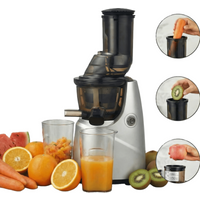 Slow Juicer Entsafter mit großem Einfüllschacht Kaltpress Entsafter für Obst und Gemüse leise Saftmaschine