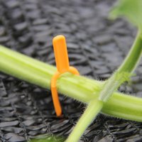 50 Pieces of Plastic Gardening Plant Pins Agricultural Plant Fixing Clips Flowers Watermelon Vine Plant Clips for Plant Supports