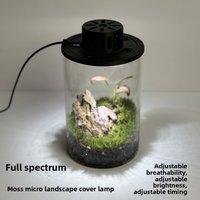 Moss Plant Lamp, Breathable Eco-Bottle Lamp, Glass Micro Landscape Spotlight, USB Aquarium