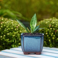 Ceramic Succulent Flower Pot Small Flower Vase Chinese Home Tabletop Vase Garden Gardening Pots Planters Decoration