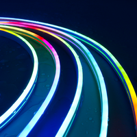Dream Color LED Neon Strip WS2811 5050 RGBIC P67 Waterproof Addressable Smart IC Flexible Light Tape for Room DIY DC12V/24V