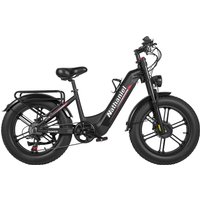 AliExpress Nathaniel SYR08 2000W Dual Motor E-Bike, 20*4.0 Fat Tire, 20AH Detachable Battery, Speed 50+, Daily Commuting, Adult Electric Bi