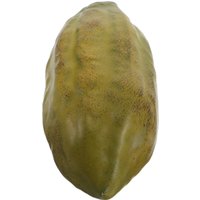 Fake Cocoa Fruit Realistic Artificial Coffee Fruit Prop Table Simulated Cocoa Ornament Coffee Shop Cafe Party Home Display Green image 4