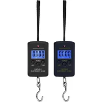 40kg X 10g Mini Digital Scale for Fishing Luggage Travel Weighting Steelyard Hanging Electronic Hook Scale