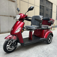 CE Certified 3 Wheel 300-10 Bike Best Selling Tricycle Electric Bike 7 Speed Electric Cargo Tricycle with Two Seat