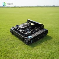 Customized Remote Control Lawn Mower With Brushless Motor High Power Garden Mower