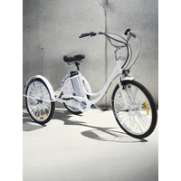 AliExpress NONE Three Wheel Electric Bike 36V 24 Inch ElectricTricycle Bicycle For Women Ladies With Removable Battery Rear Basket Black