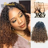 Ombre 1b/4 Color Afro Kinky Burmese Curly Crochet Human Hair Knotless Pre-Separated Crochet Feather Hair Extensions For Woman