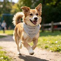 Customized pet scarf for 2026, for spring outings and camping,Dog scarf