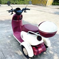 Airo Electric Mobility Tricycle for the Disabled /Handicapped Passenger 3 Wheel Motorcycle Electric Tricycle