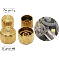 10pcs Car Air Conditioner Refrigerant Dust Cover Valve Core Caps High Low Side Port Cap Auto High Low Pressure Caps Accessories