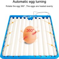 70 Eggs Incubator Automatic 360° Roller Incubation Egg Tray Poultry Hatching Turner for Chicken Duck Goose Quail 110V 220V