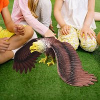 Durable Waterproof Simulated Eagle Model 3D Animals Figures Simulation Bird Scarer Realistic Education Ornament Eagle Toy