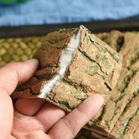 High Quality Natural Eucommia Ulmoides Eucommia Ulmoides Soothing Stress Purifying Treatment Meditation Homemade Fragrance