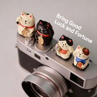 Lucky Cat Maneki-neko Camera Hot Shoe Cover for Fuji XS10 X100V XS20 Leica Q3 Nikon ZF Z50 Canon R50 DSLR Mirrorless Accessories