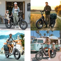 UK New Arrival 20inch Tire Ebike High Power Motor 7 Speed Electric Cargo Bicycle with Rear Rack