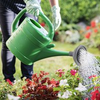Watering Can Spout With Universal Water Sprinkler Head For Plants And Flowers Als Garden Watering Can Rose Head Nozzle For Home