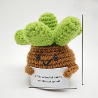 Creative Emotional Support Cactus Doll with Card Crochet Handmade Kintted Heart Flowers Doll Car Bookshef Table Home Decor Gift