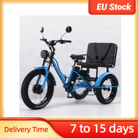 Neues Cargo-Familien-Elektrofahrrad, 3-Sitzer, für Erwachsene mit Rücksitz, All-Terrain, 750 W, 48 V, älteres elektrisches Dreirad mit Passagiern