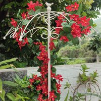 Umbrella Style Iron Flower Arrangement Ground Stake Trellis for Rose Rusty Metal Plant Support for Garden Decorative Plants Cage