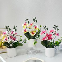 Round pot double bundle butterfly orchid potted plant, 6-flower potted plant, home shooting scene, high-end simulation bonsai