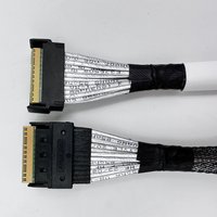 MCIO 8i to SFF-8654 8i High Speed SAS NVMe Cable L=1m
