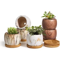 Ceramic Water Transfer Succulent Flower Pots Creative Nordic Gardening Art Vase Home Office Decorations Gardening Supplies