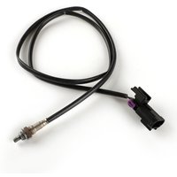 Capteur d'oxygène du tuyau d'échappement pour Benelli BN251 TNT25 TNT250 / BN TNT 25 250 251