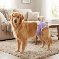 Breathable Dog Physiological Pants Leak-proof Adjustable Dog Menstrual Pants Reusable Highly Absorbent Dog Sanitary Panties