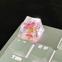 2024 New DIY original drip glue manual transparent dry spline cap real flower flower mechanical keyboard key cap 1pc