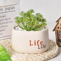 Simple succulent ceramic flowerpot, flower arrangement, potted plant, living room, home decor