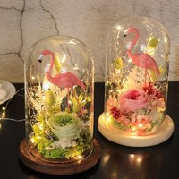 Glass Cloche Dome Display Cover Micro Landscape DIY Holder Vase Modern Simple High Quality Clear Glass Dome with Wooden Base
