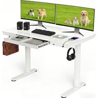 Electric Standing Desk, 120 x 60cm One-Piece Glasstop Stand Up Desk with Drawer & 2 Charging Ports, 4 Memory Adjustable Desk